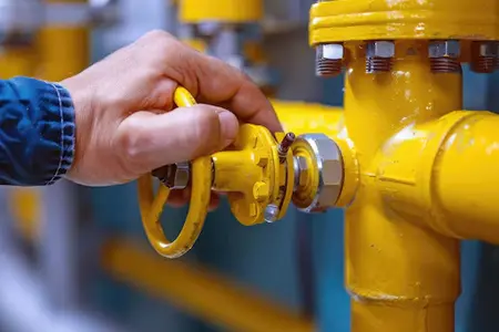 BIO CNG Piped Cooking Gas Home Supply