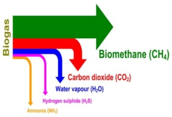 Components Of BIO Gas