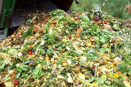 Organic Municipal Waste