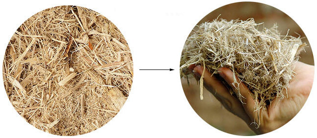 Waste Sugarcane Bagasse